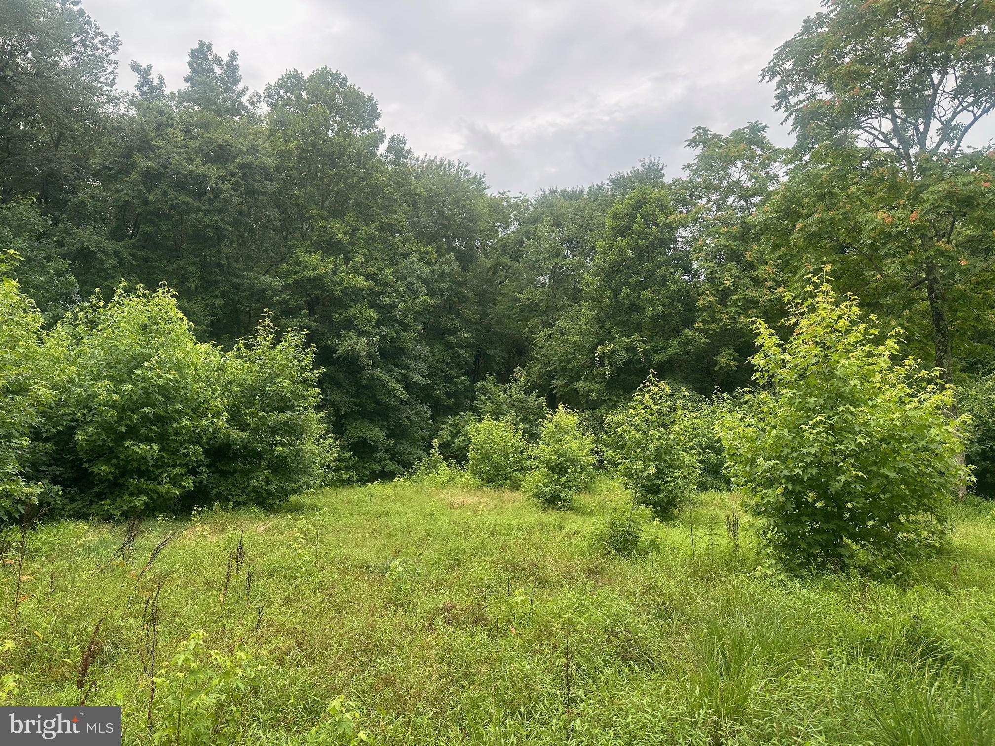5485 SCHOOL HOUSE ROAD