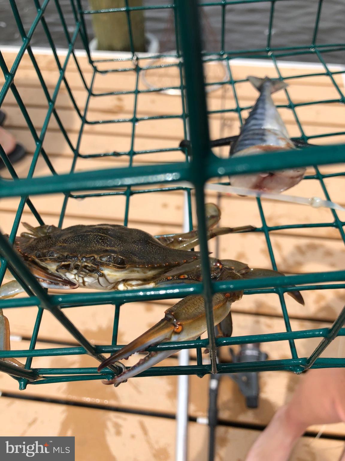 ANGOLA BY THE BAY - Land