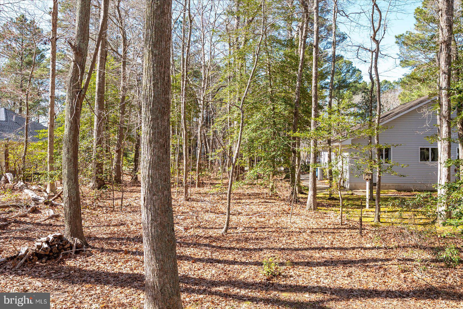 OCEAN PINES - PINEHURST - Residential