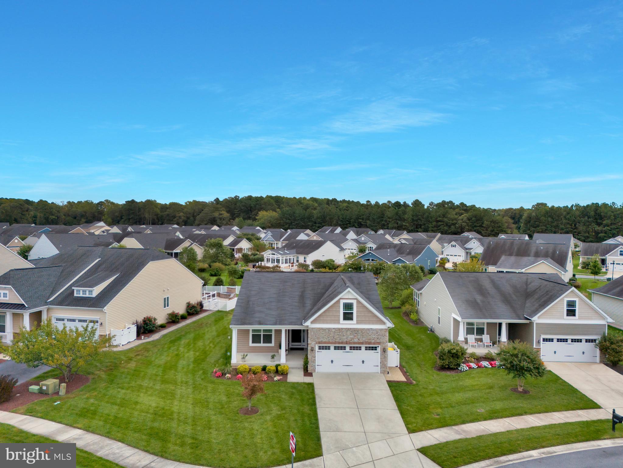 17513 YELLOW BELL DRIVE S