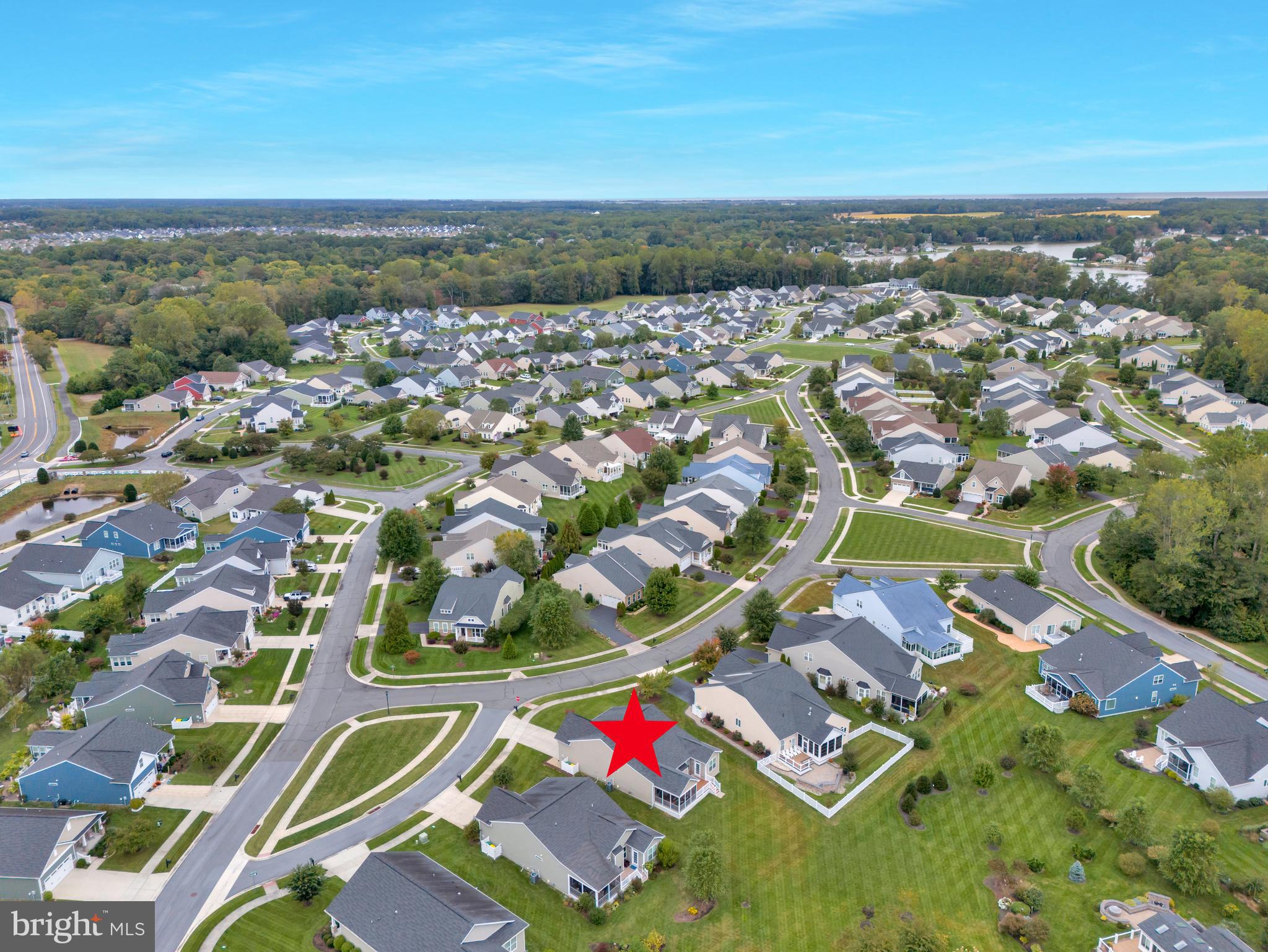 17513 YELLOW BELL DRIVE S