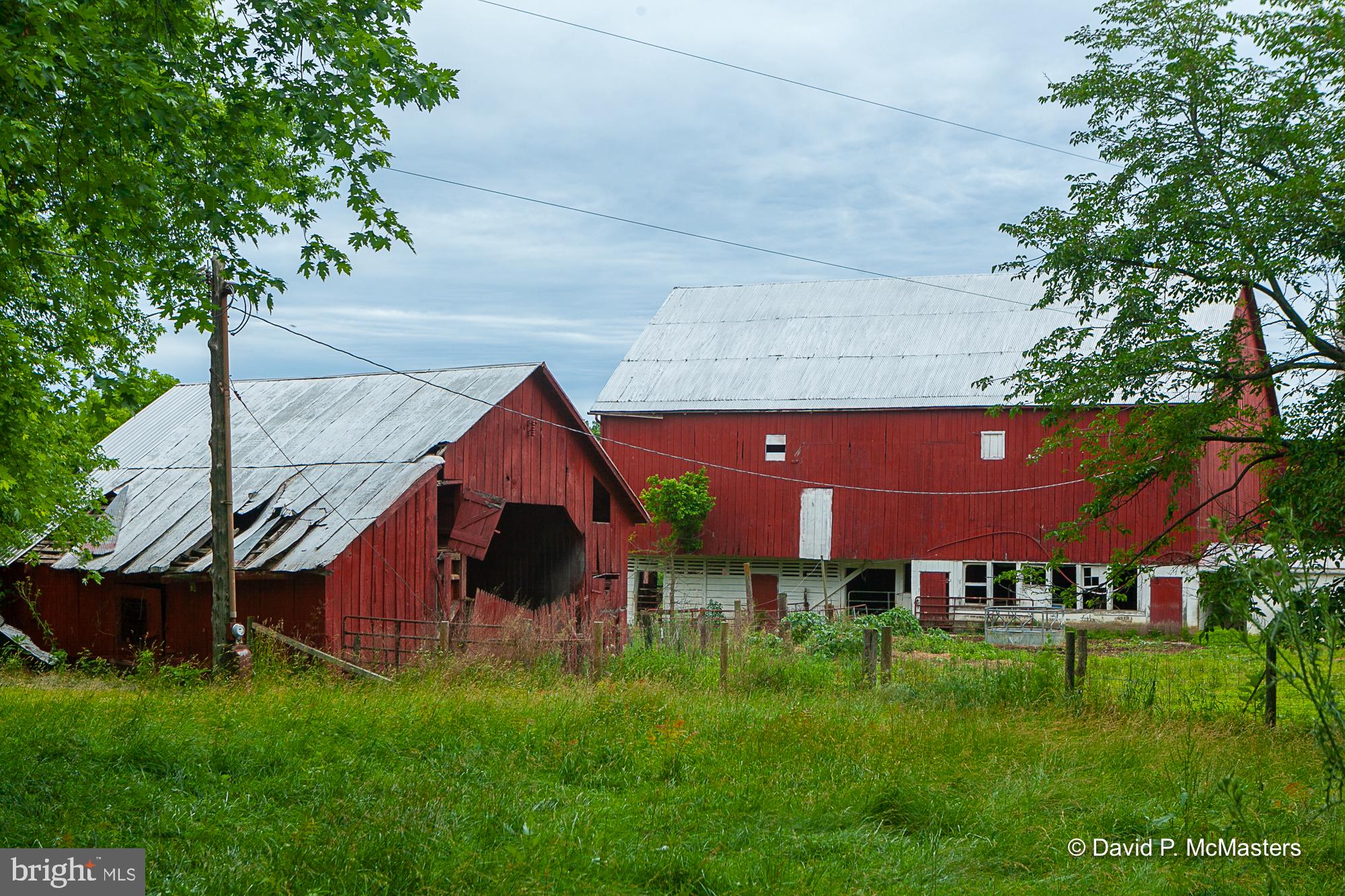TERRAPIN NECK - Residential