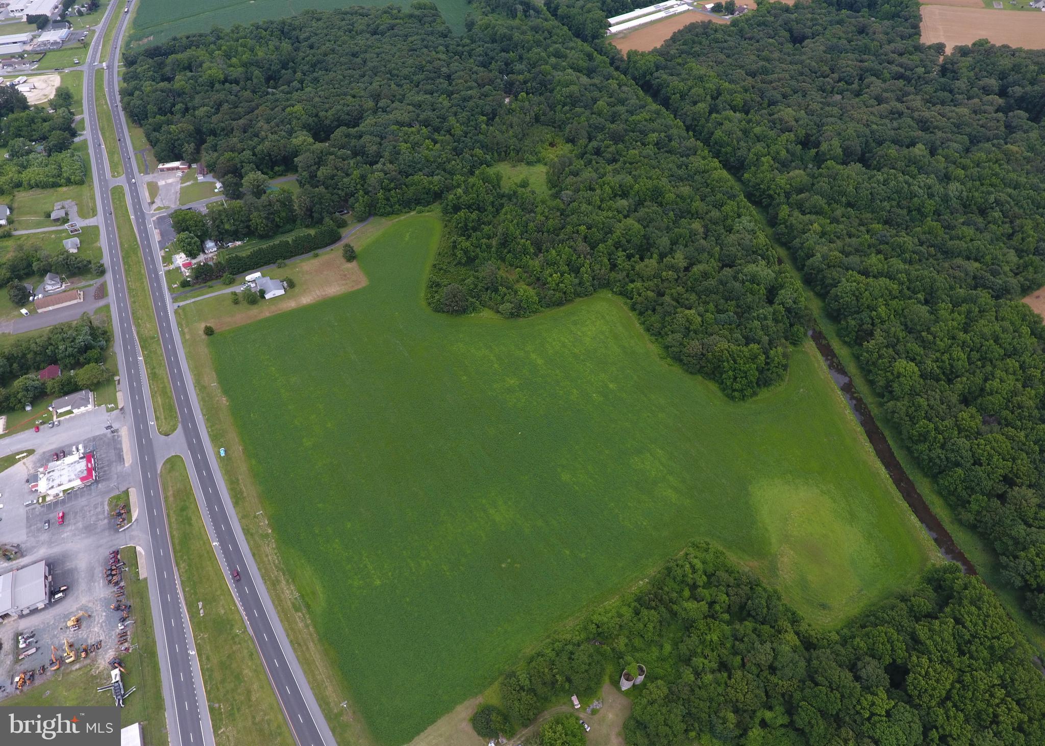 Great potential in Greenwood with this 40+/- acre property that has 1000+/- ft road frontage on Rt. 13/Sussex Highway. Town water & sewer hook-up available. Seller will consider accepting a contract contingent upon Commercial rezoning.