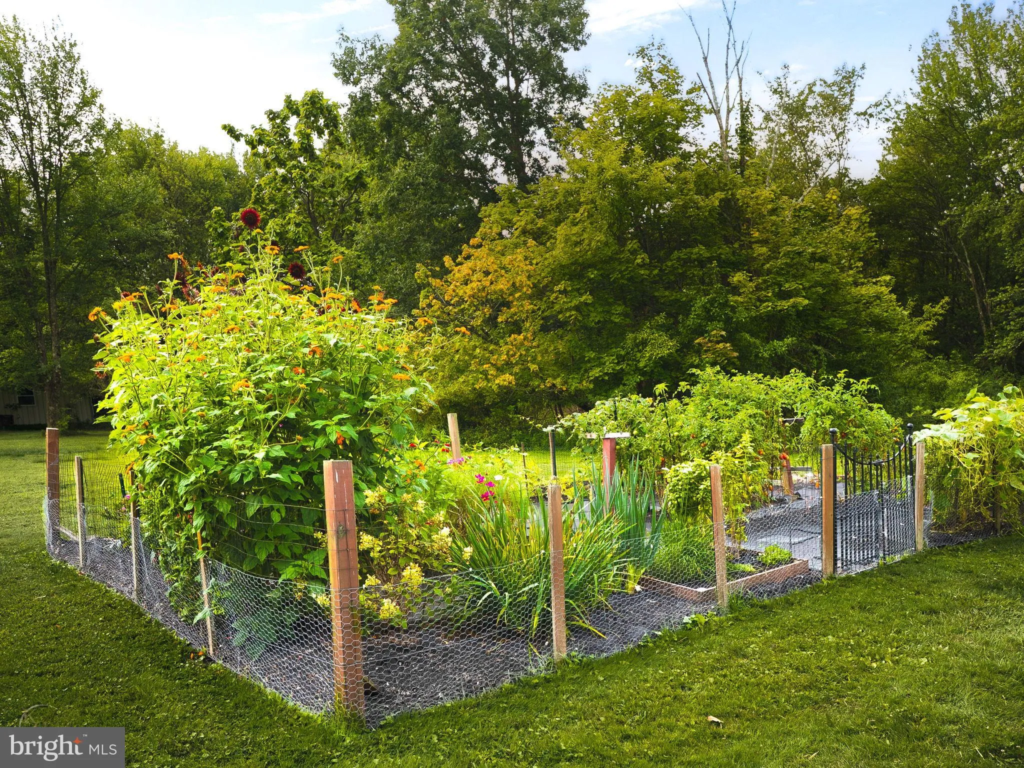 Coopersburg, Pennsylvania 18036, United States, 4 Bedrooms Bedrooms, ,2 BathroomsBathrooms,Residential,Active,227200