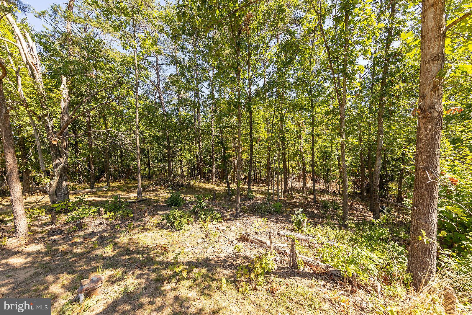 BELLWOOD ESTATES - Residential