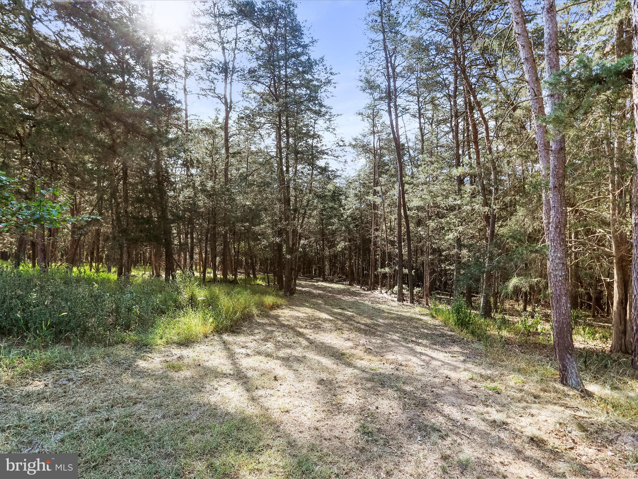 WALNUT RIDGE - Residential