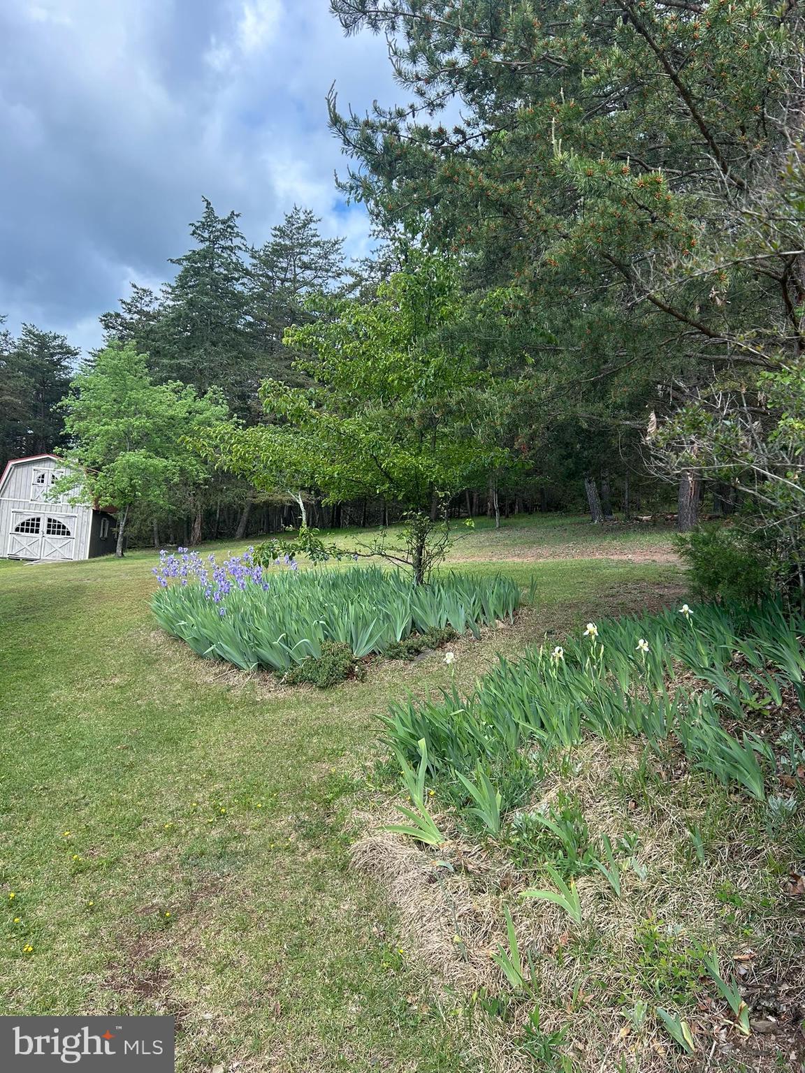 WALNUT RIDGE - Residential