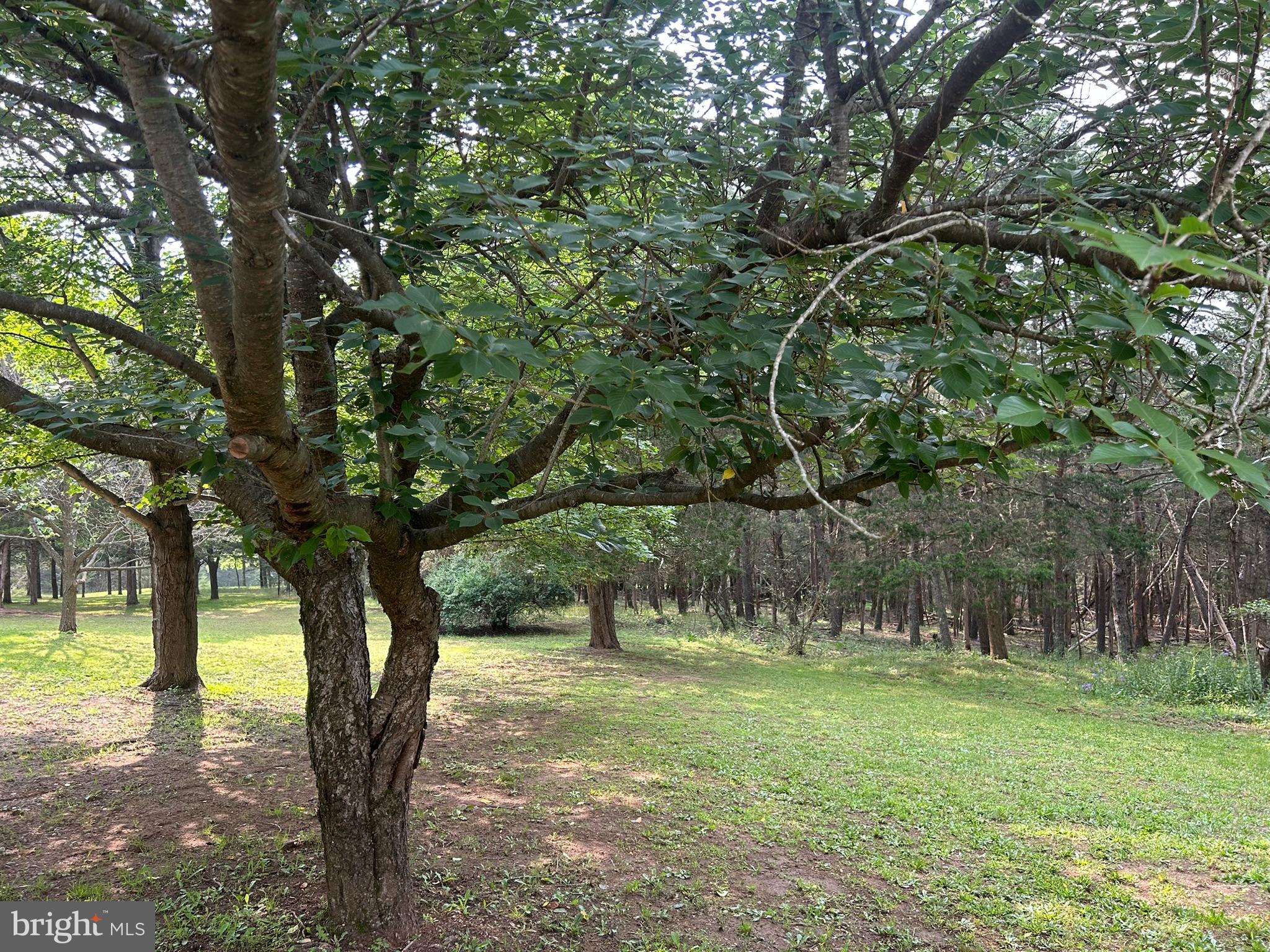 WALNUT RIDGE - Residential