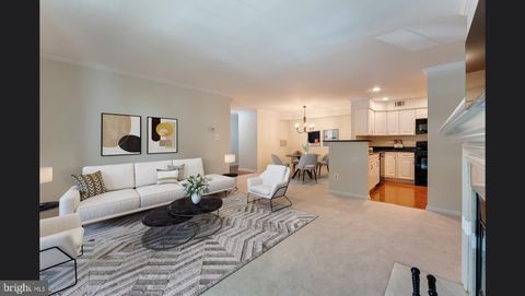 11709 KARBON HILL COURT H 609A RESTON VA 20191