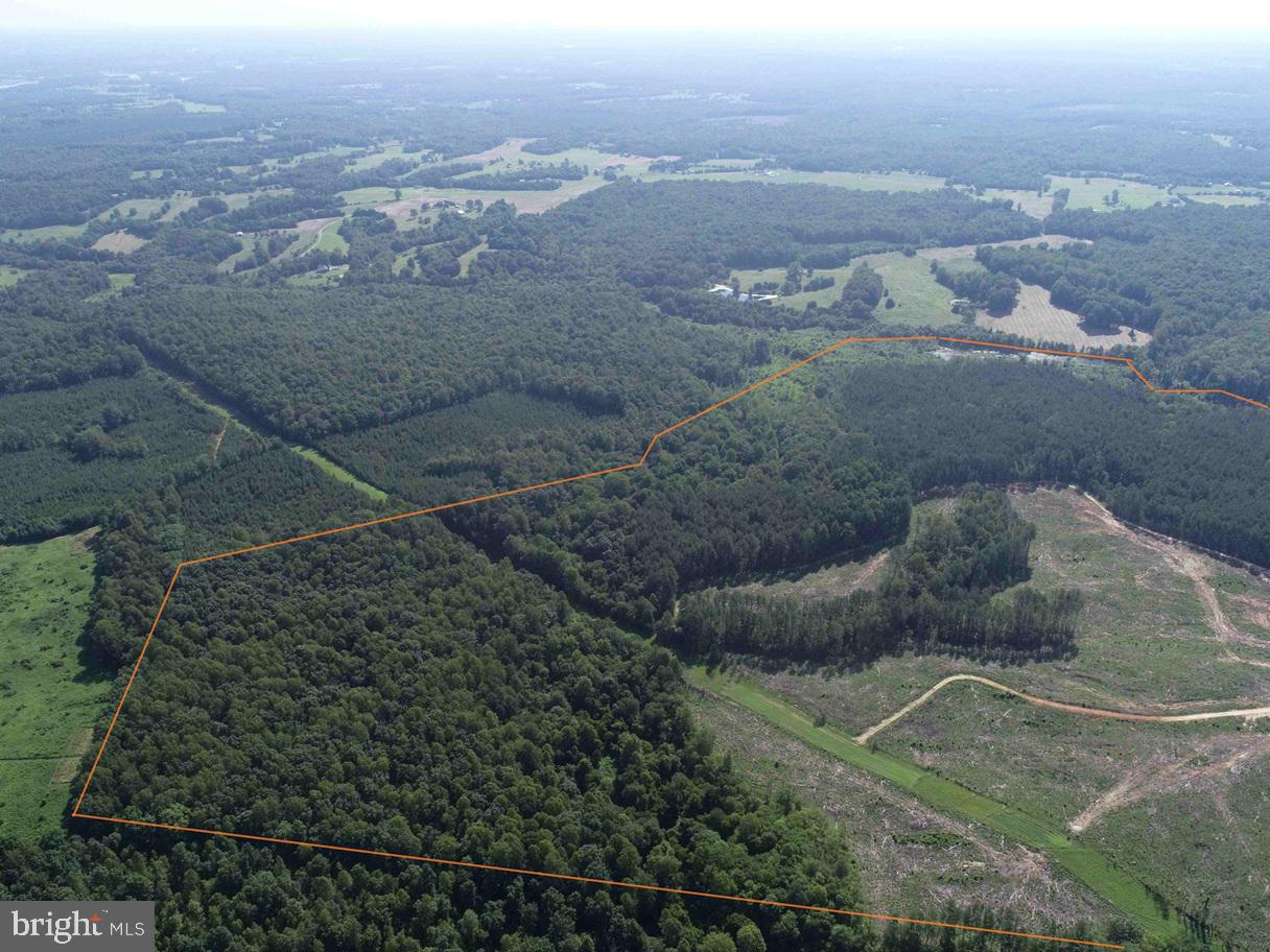BANNISTER TOWN ROAD (TRACT DTOF LOUISA)