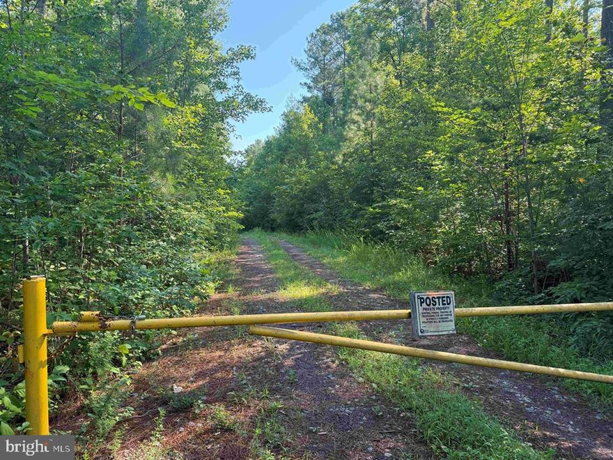 The DTOF Louisa Tract, spanning 264 acres, is located just north of Louisa, off Ellisville Drive (Rt. 669) at the end of Bannister Town Road. This property is conveniently situated, being only 35 minutes from Charlottesville and 55 minutes from Richmond. The land features rolling terrain with Chaney Creek flowing through its northern section and Gold Mine Creek forming the eastern boundary. The timber on this tract includes 72 acres of Loblolly pine planted in 1987, 51.7 acres of Loblolly pine planted in 2023, and 128.7 acres of natural hardwoods dating back to 1965. This tract is ideal for a large farm or estate, offering excellent habitat and recreational hunting opportunities for deer, turkey, waterfowl, and quail. Additionally, the interior road provides excellent accessibility throughout the property, making it a prime opportunity to own a substantial parcel in Louisa County.

Disclaimer: Property inspections shall be done during daylight hours. Seller and Advance Land and Timber, LLC in no way make any representations or warranties regarding the conditions of the property, including any and all access routes, and all persons entering upon the property do so at their own risk and accept said property as-is in its existing condition during such inspections. All persons entering upon the property assume all risks and liabilities and agree to indemnify, defend, and hold harmless Seller, its affiliates, officers, directors, managers, agents, representatives and employees from and against any and all claims, demands, causes of action, injuries (including death) and damages resulting from any accident, incident, or occurrence arising out of, incidental to or in any way resulting from his or her inspection of the property or his or her exposure to the conditions of the property.