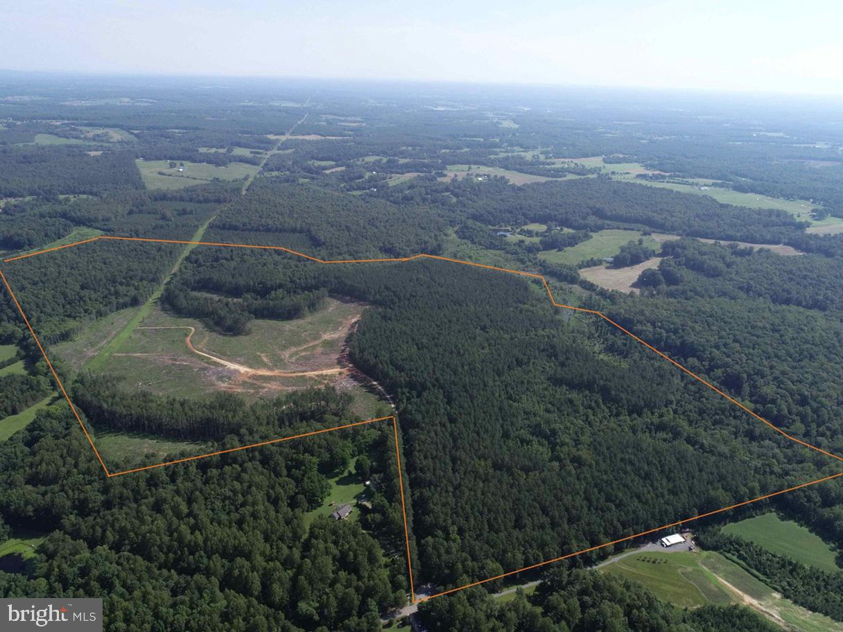 BANNISTER TOWN ROAD (TRACT DTOF LOUISA)