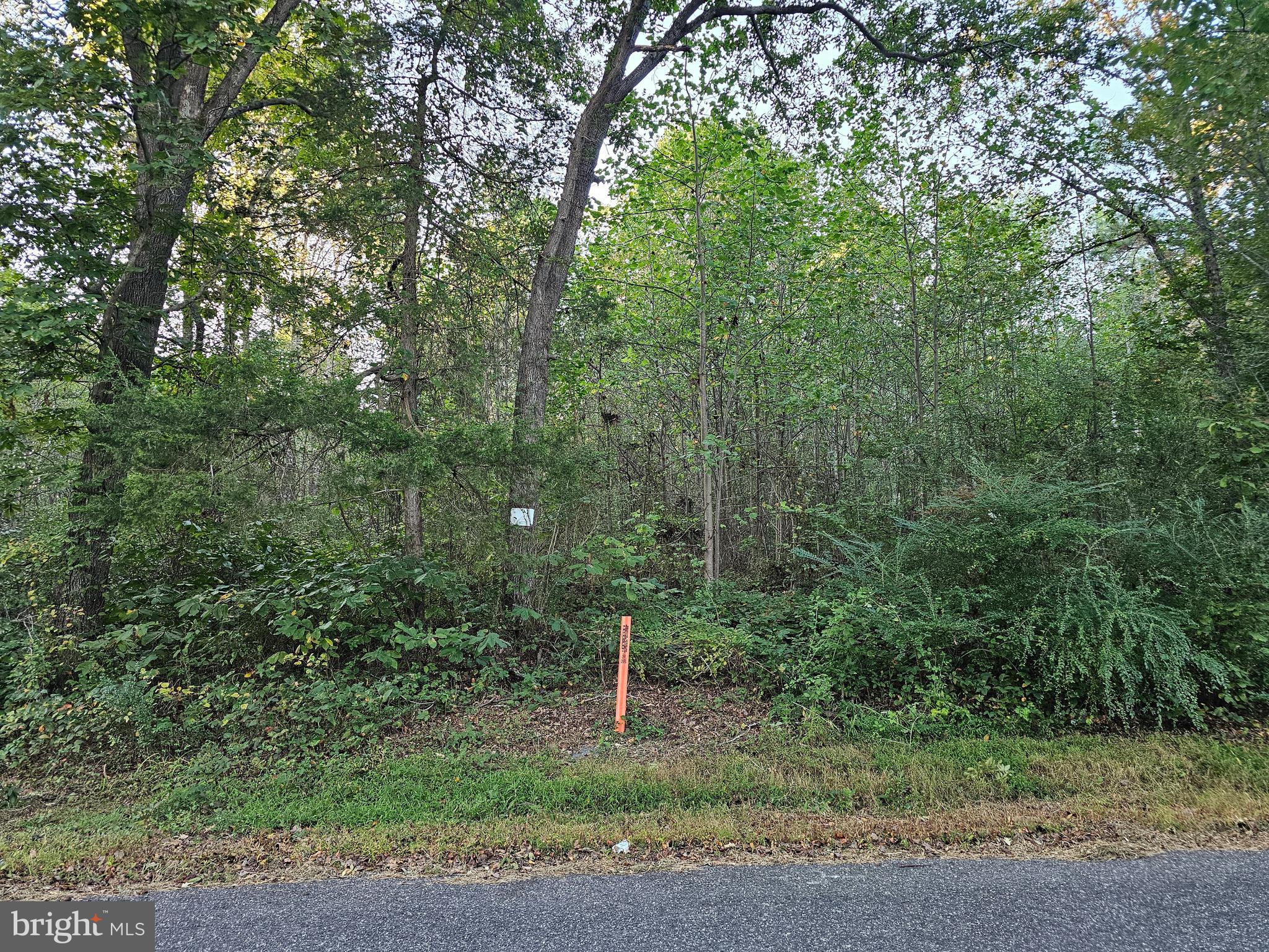 Lot 52 LOWE DRIVE