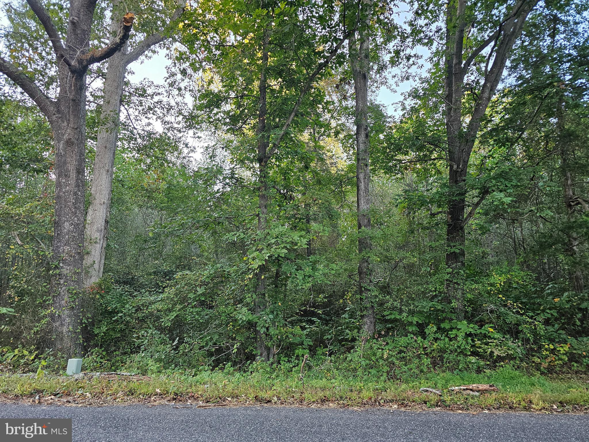 Lot 52 LOWE DRIVE