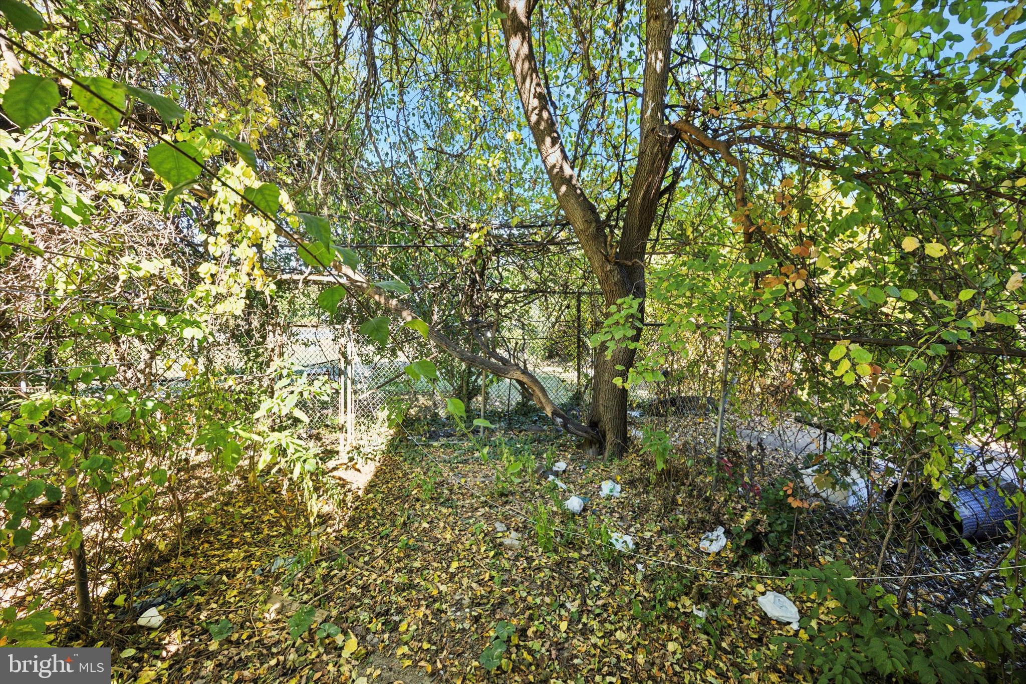 PHILADELPHIA (NORTH) - Residential