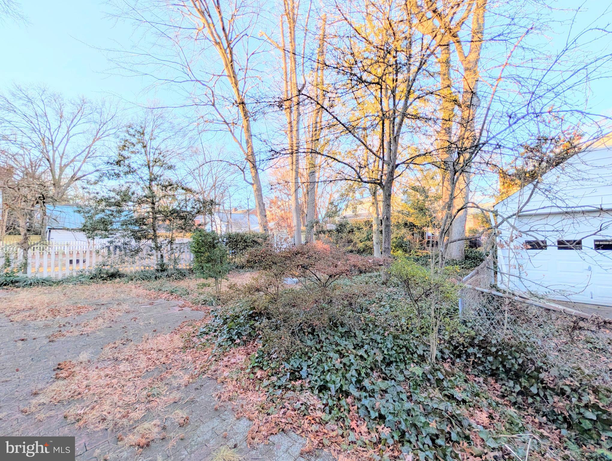 COLLEGE PARK - Residential