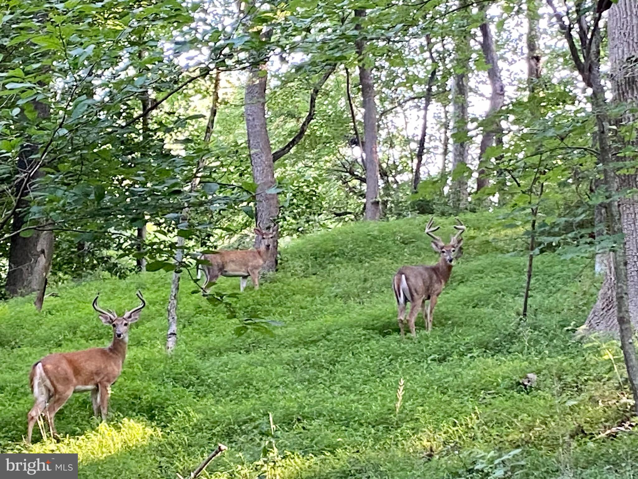 FOX VALLEY - Residential