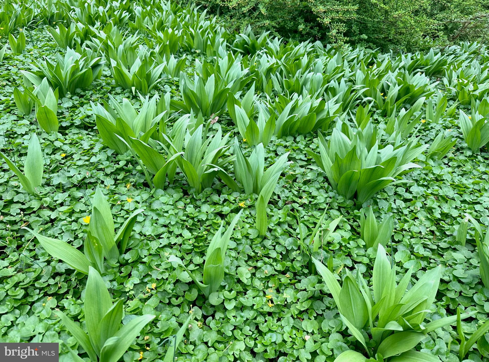 FOX VALLEY - Residential