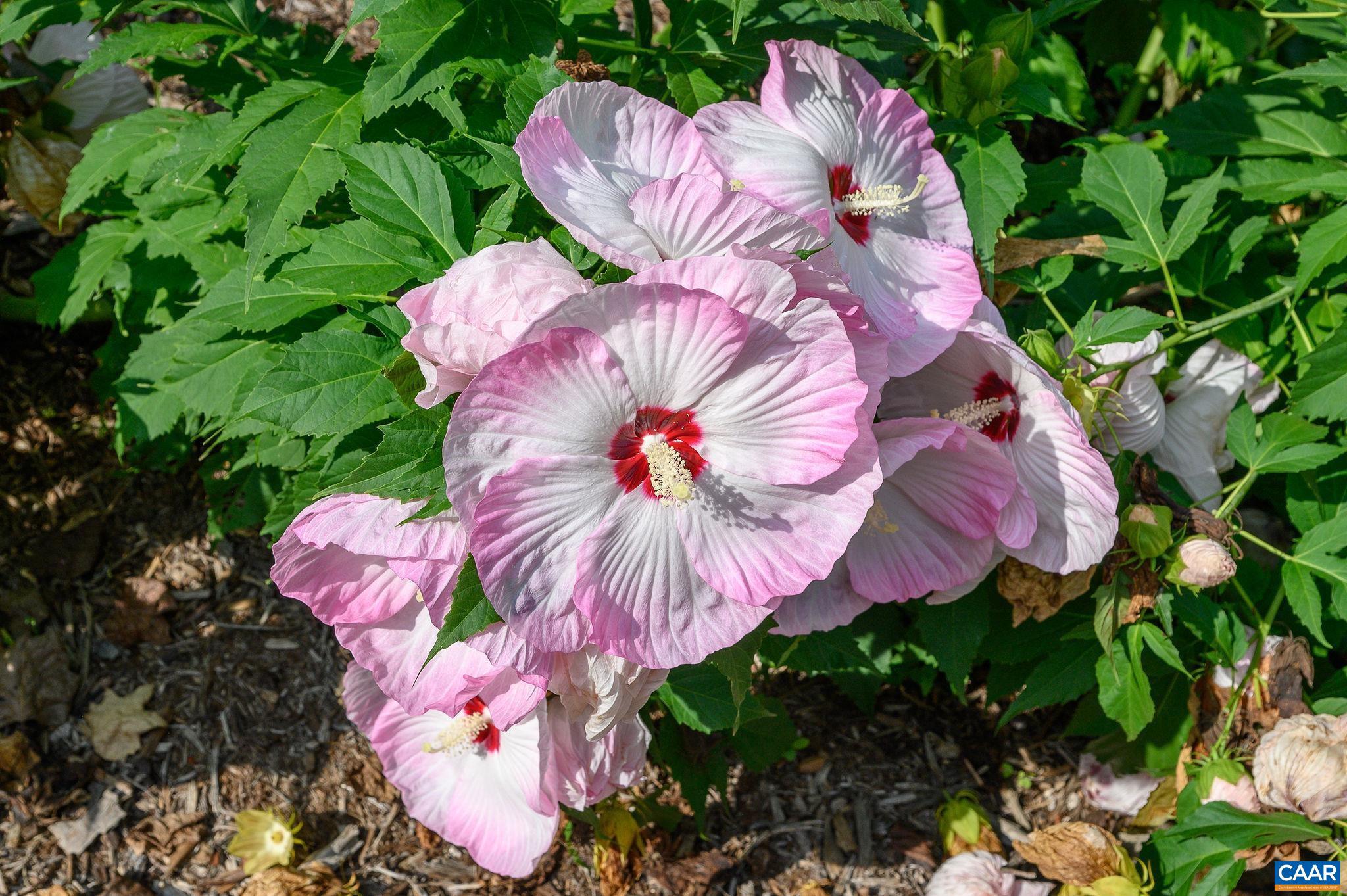 COLTHURST FARM - Residential