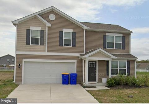 147 SEA HORSE LANE FREDERICA DE 19946