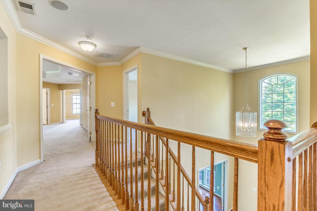 ASHLAND - Residential Lease