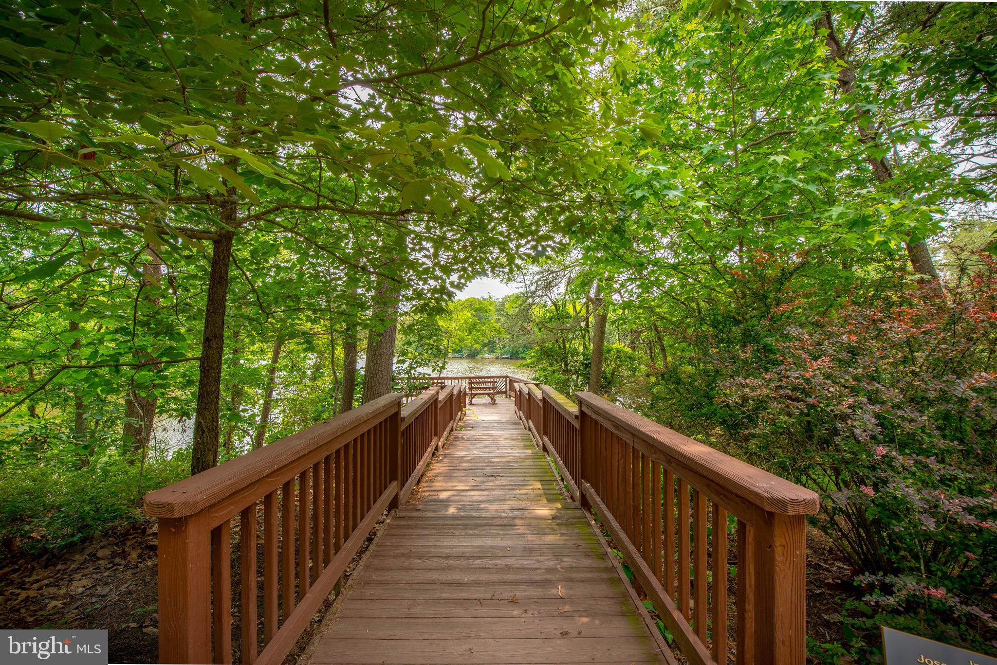 BLACKWALNUT COVE - Residential