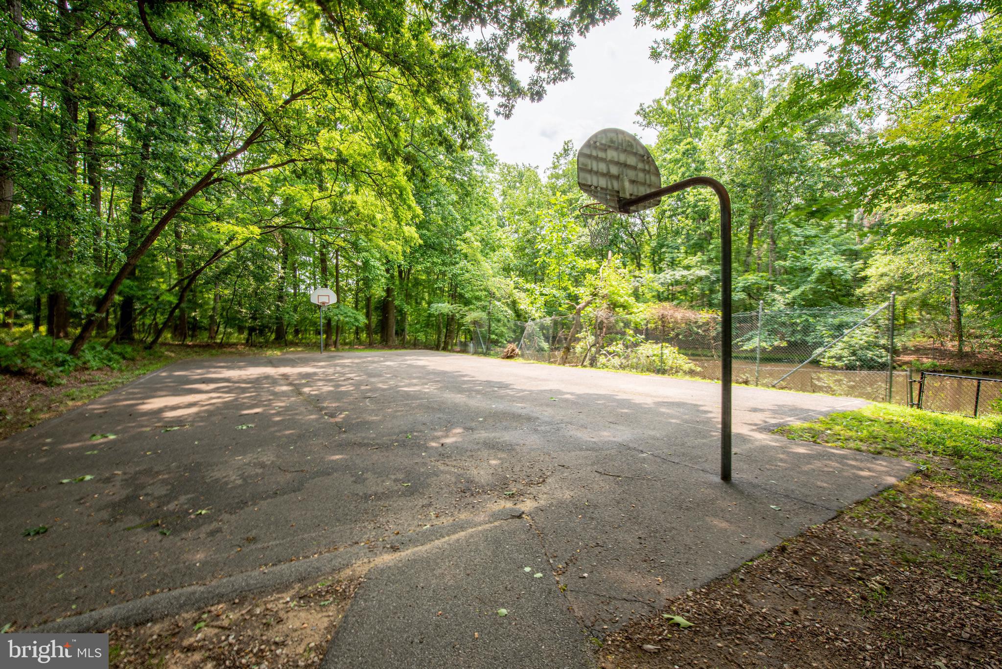 BLACKWALNUT COVE - Residential