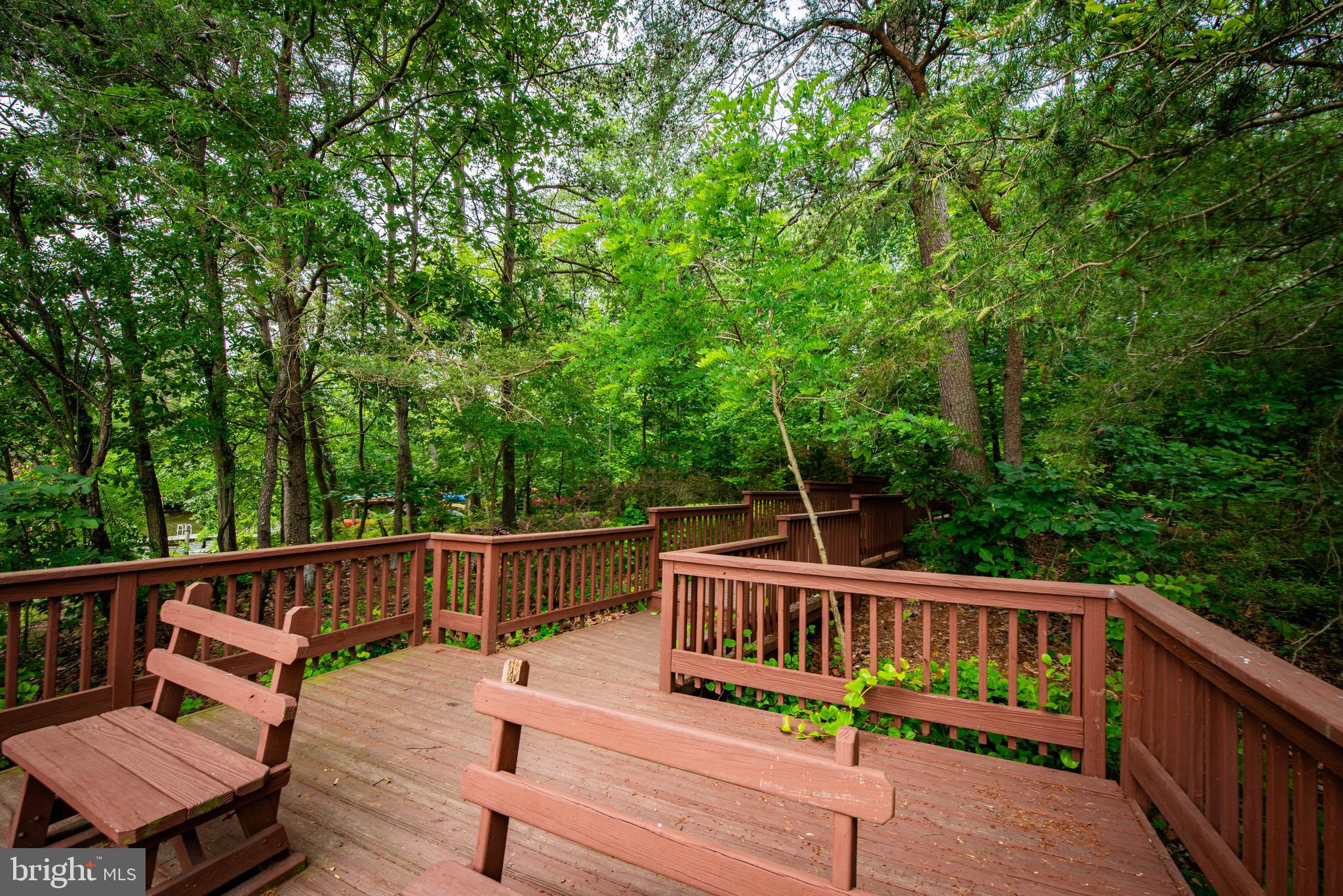 BLACKWALNUT COVE - Residential