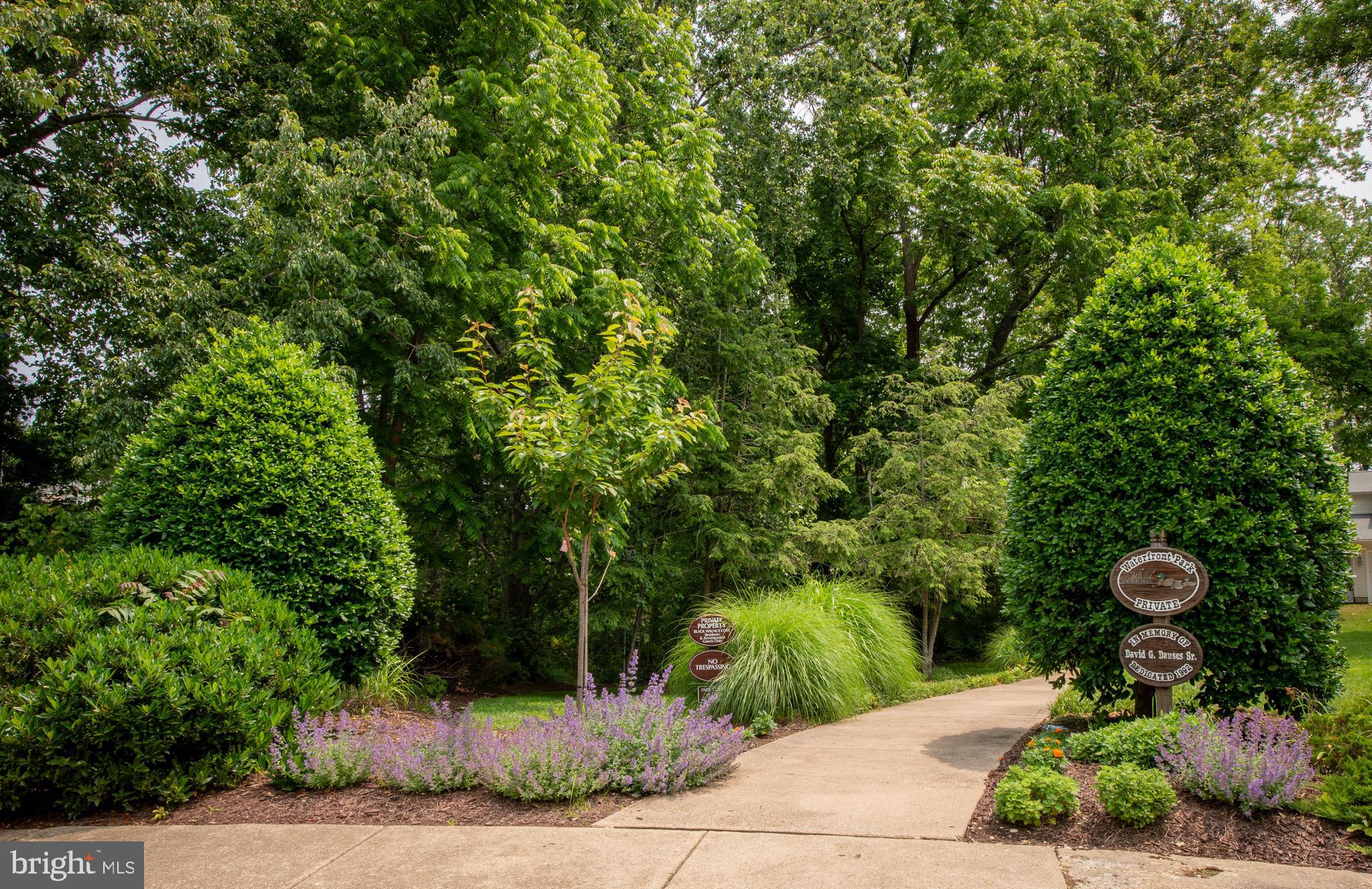 BLACKWALNUT COVE - Residential
