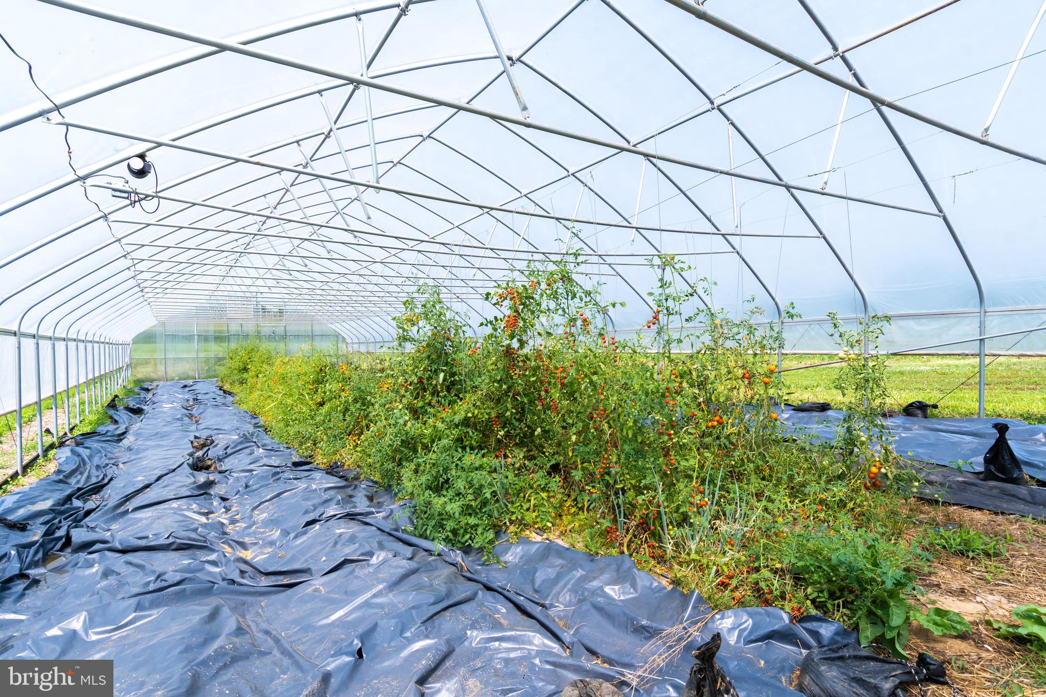 KENNEDYVILLE - Residential