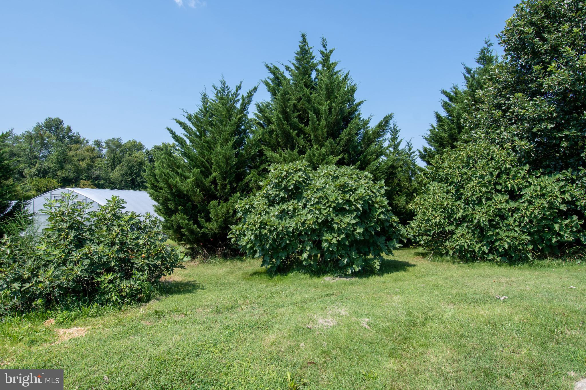 KENNEDYVILLE - Residential