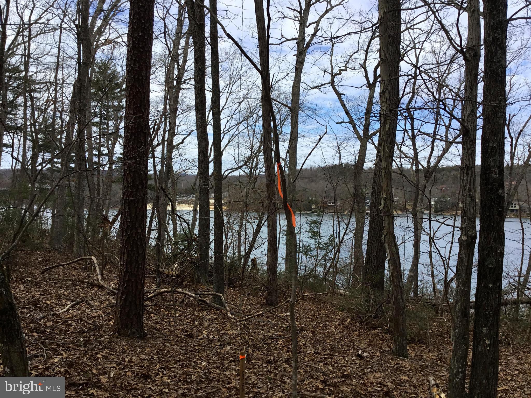 LAKE HOLIDAY ESTATES - Land