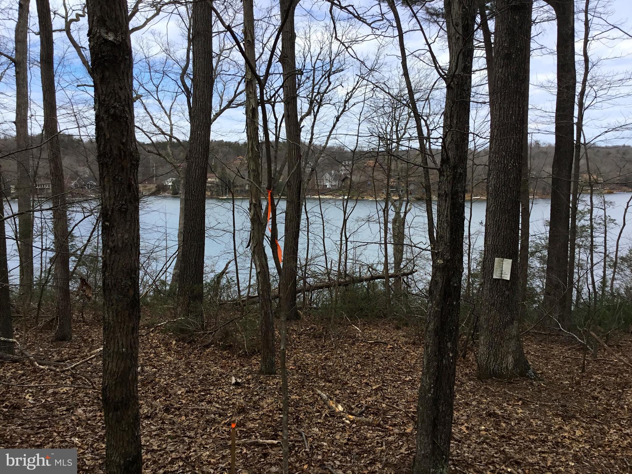 LAKE HOLIDAY ESTATES - Land