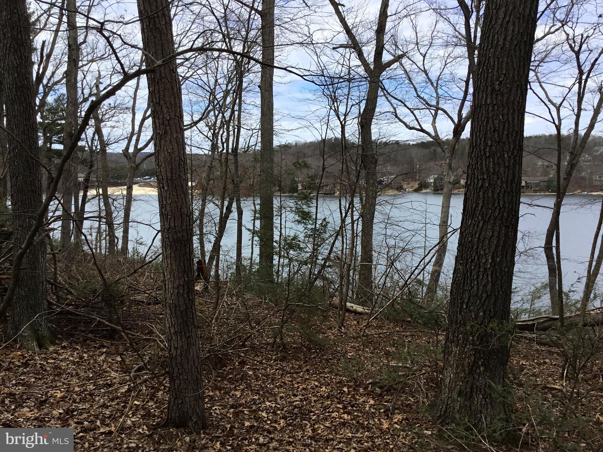 LAKE HOLIDAY ESTATES - Land