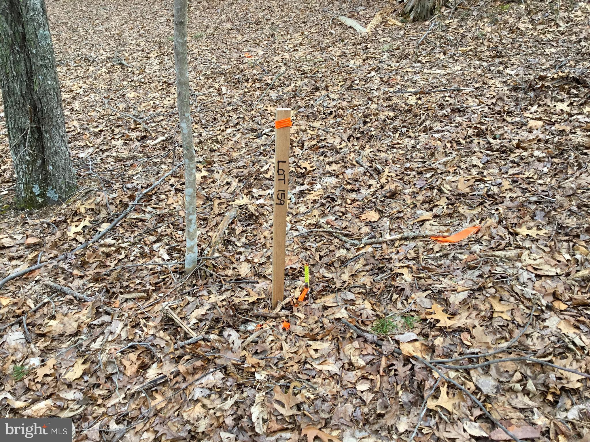 LAKE HOLIDAY ESTATES - Land