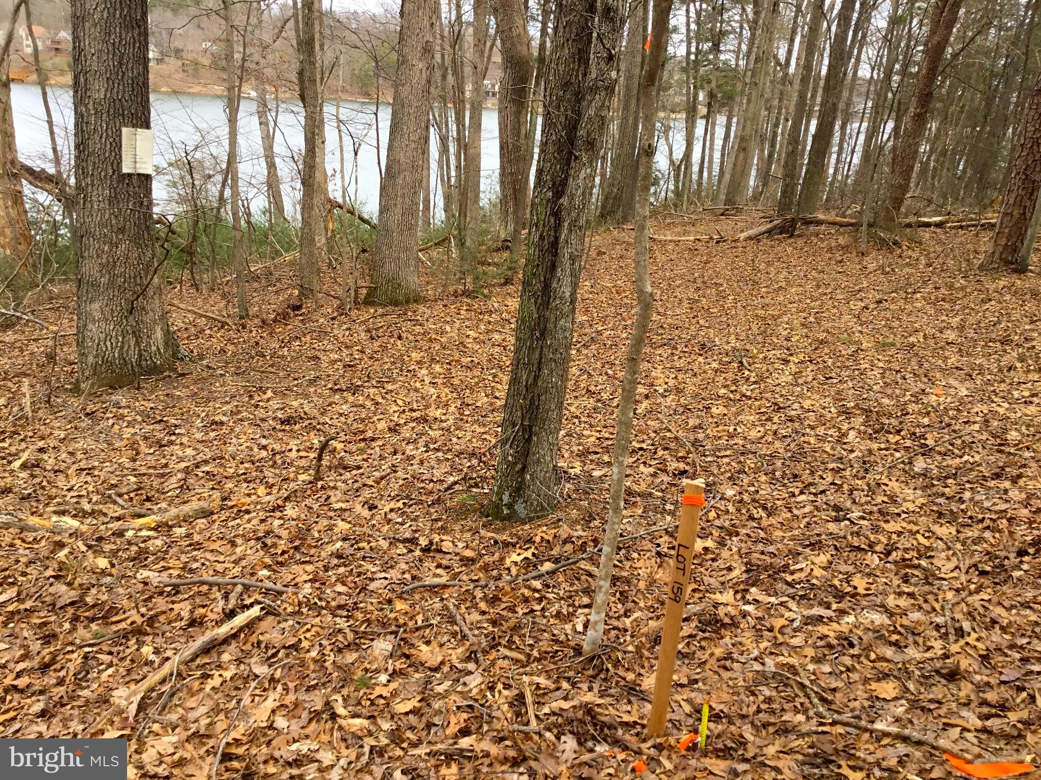 LAKE HOLIDAY ESTATES - Land