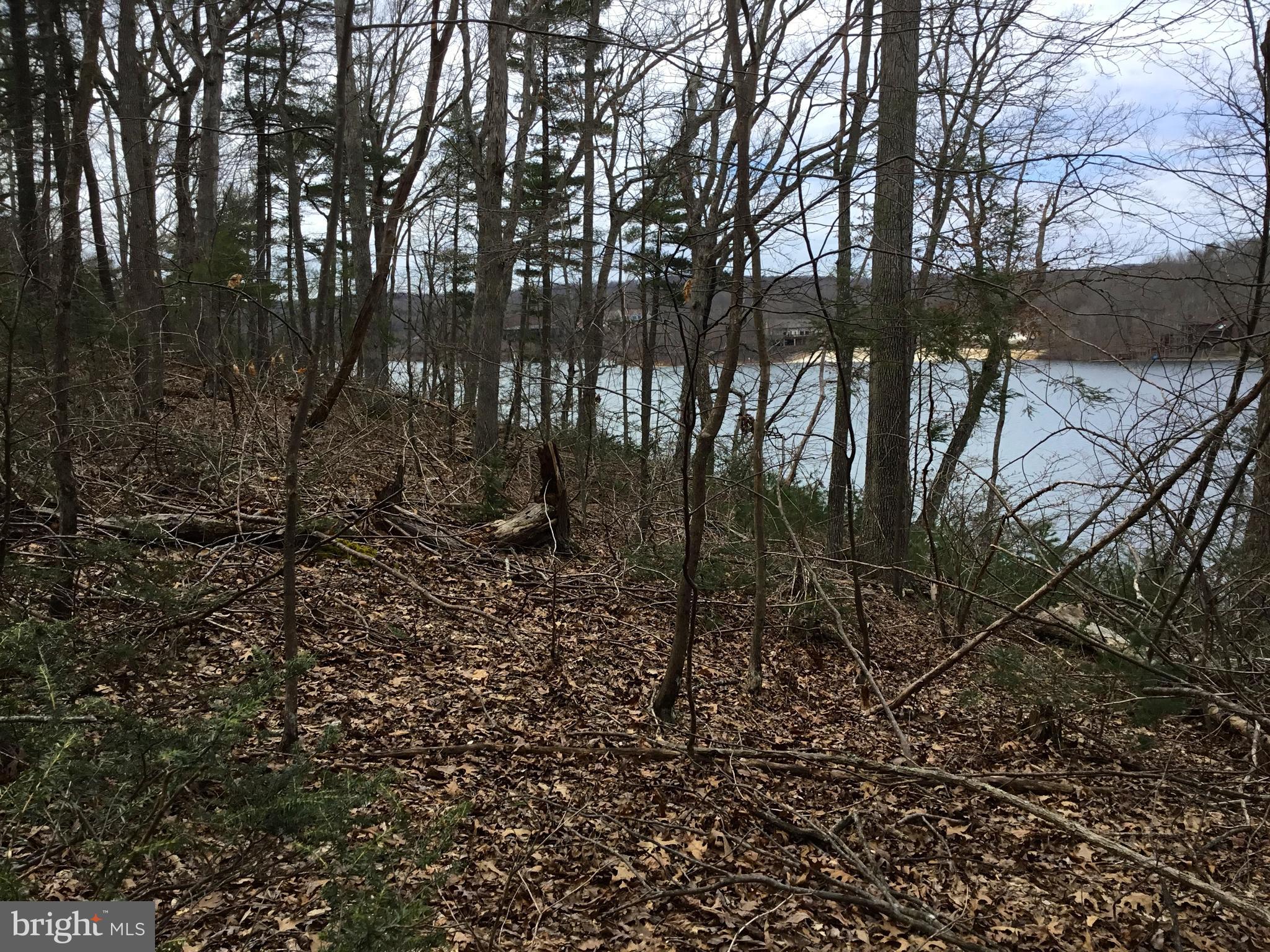 LAKE HOLIDAY ESTATES - Land