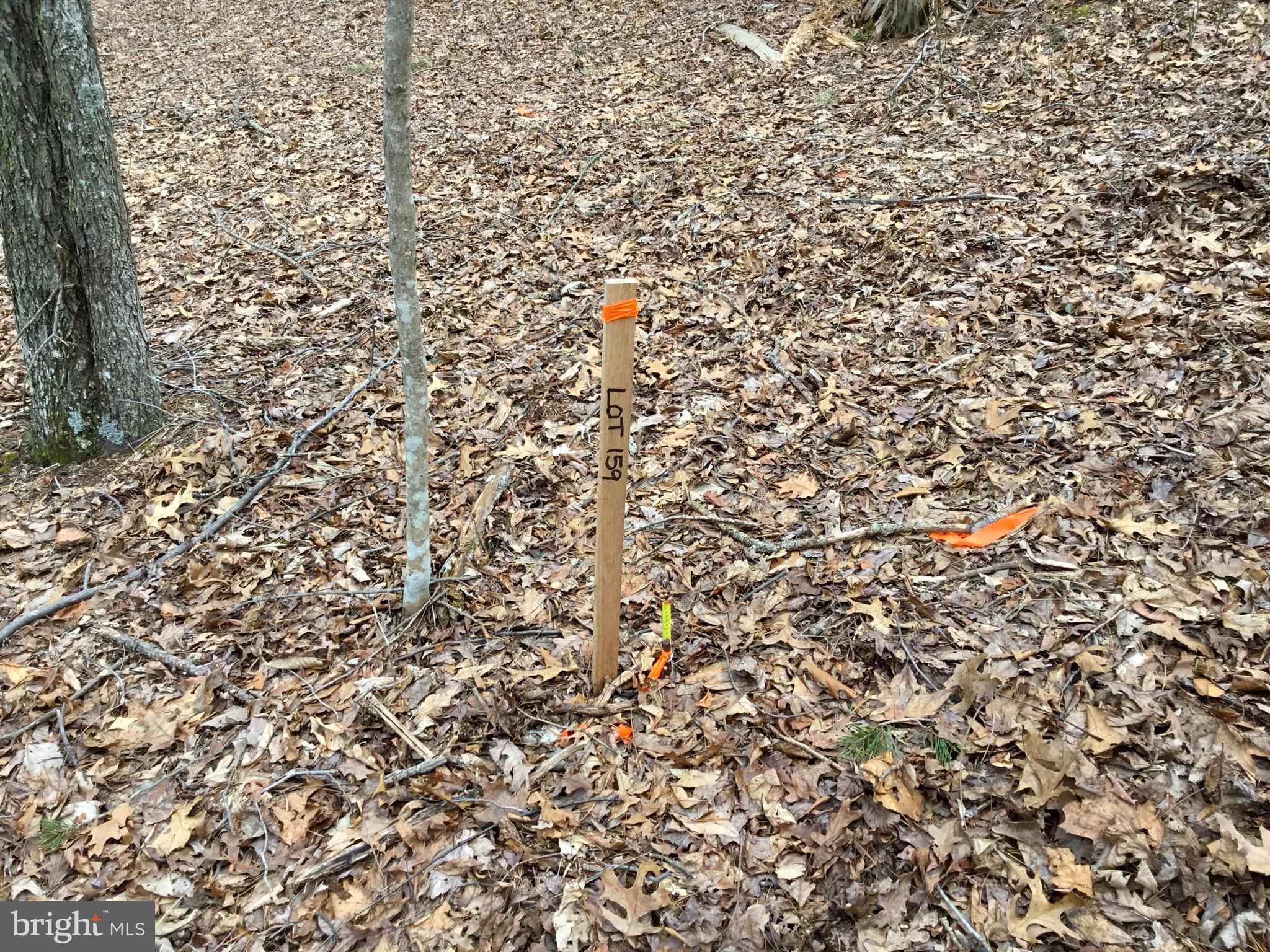 LAKE HOLIDAY ESTATES - Land