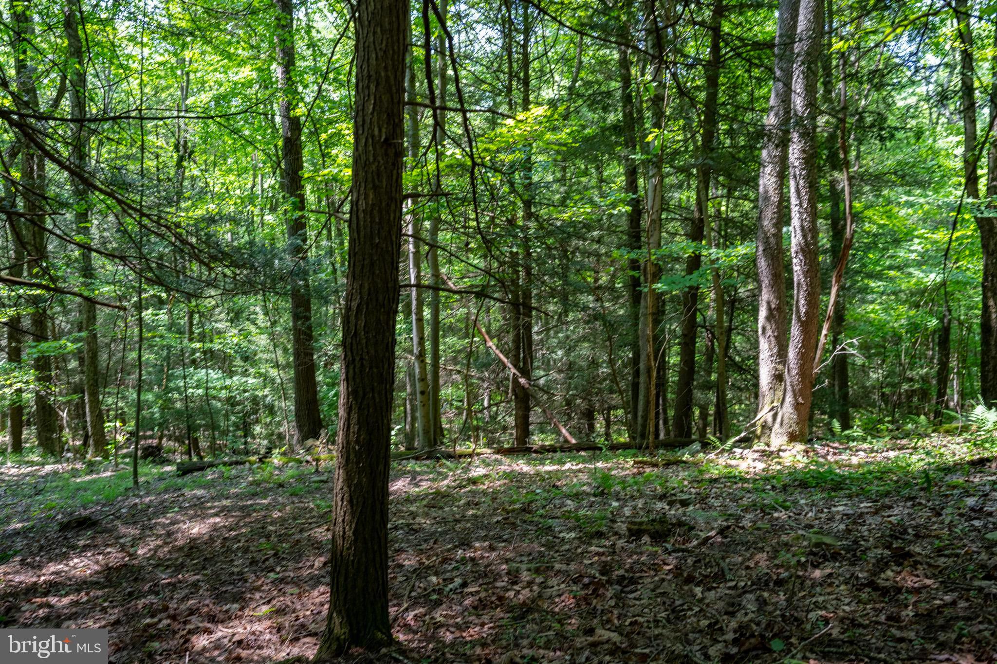 SOVERN RUN - Residential