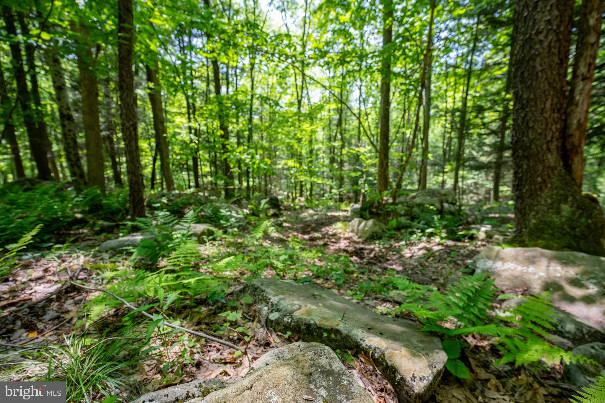 SOVERN RUN - Residential