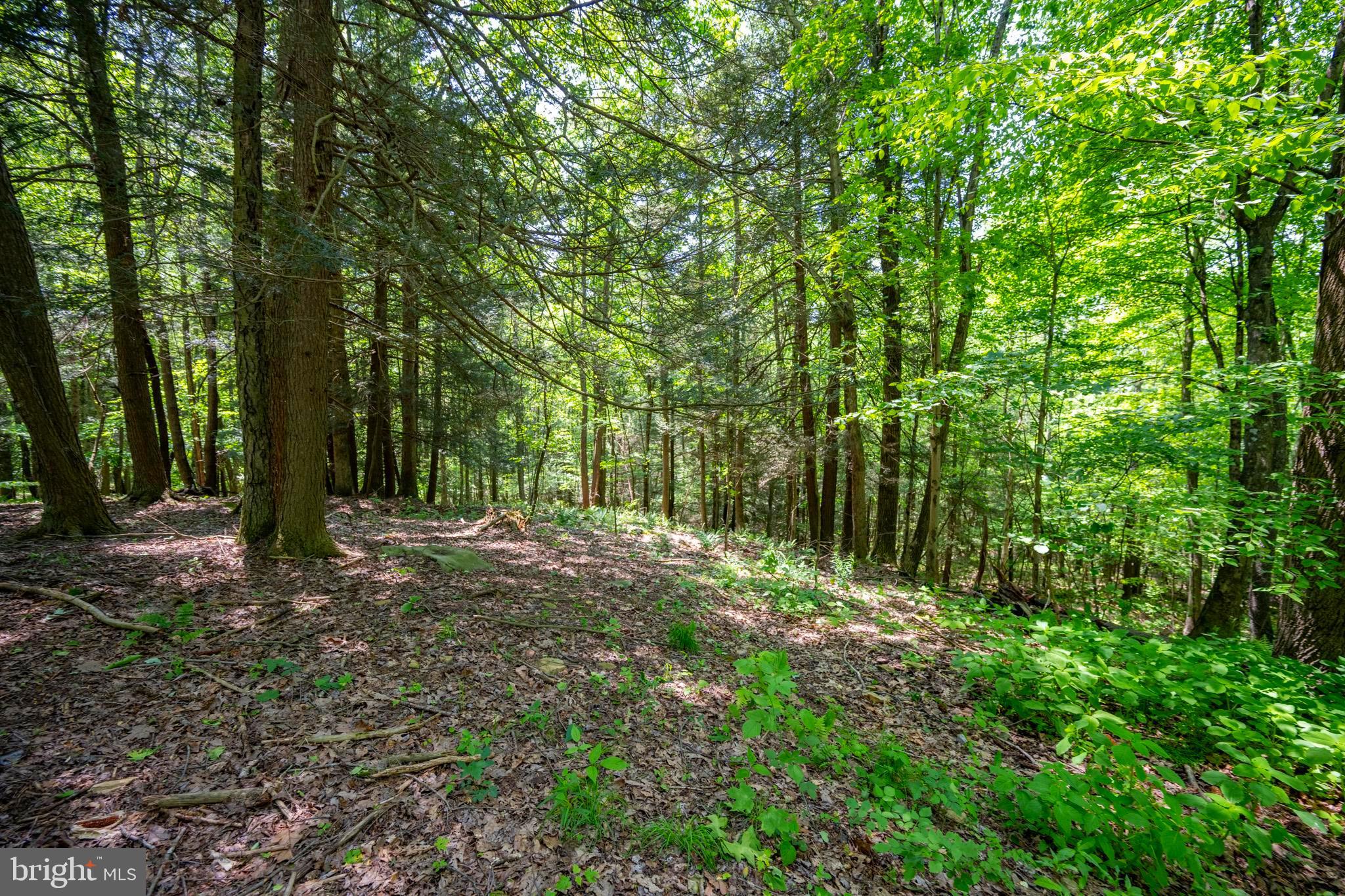 SOVERN RUN - Residential