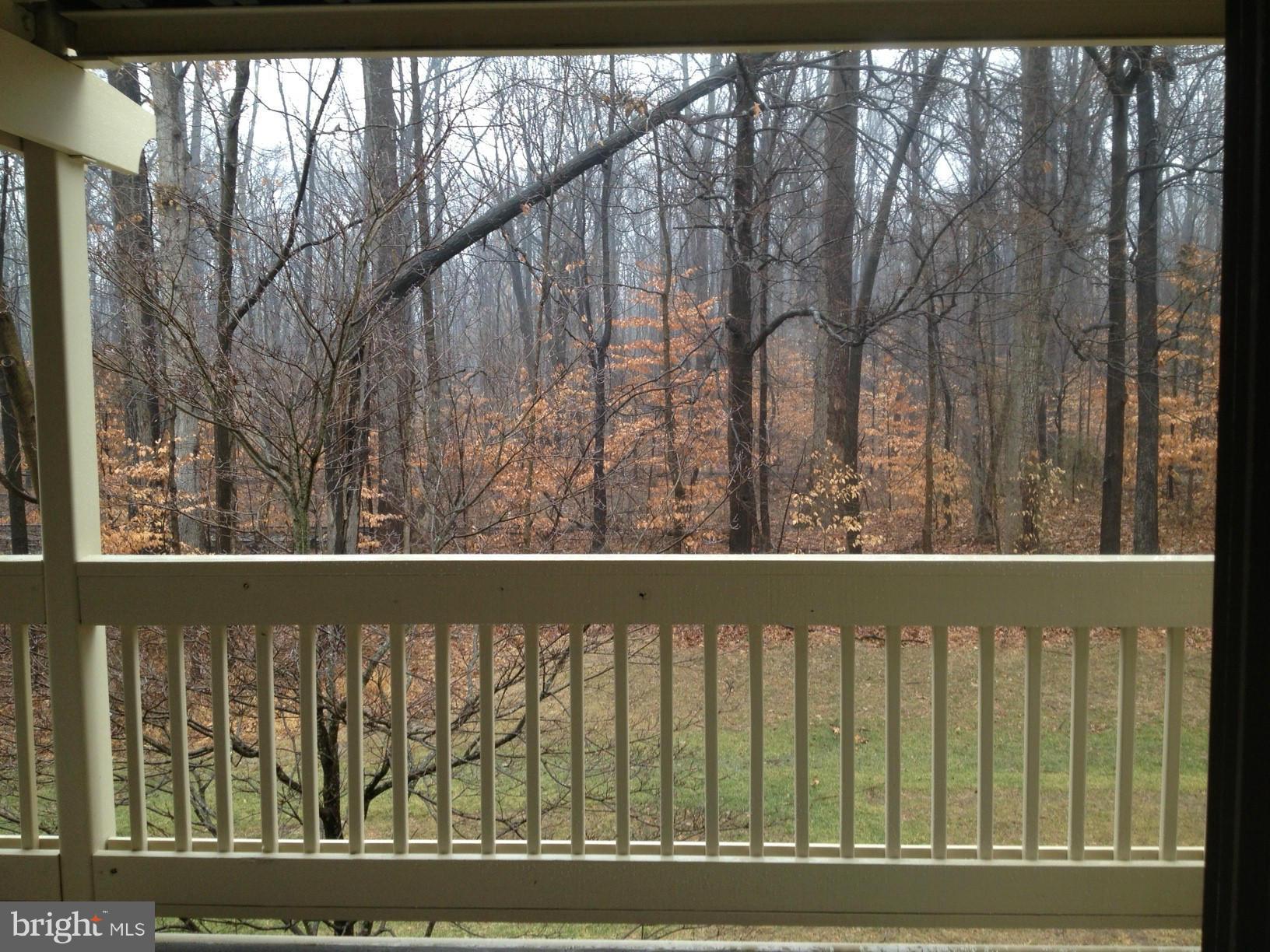 CARDINAL FOREST - Residential Lease