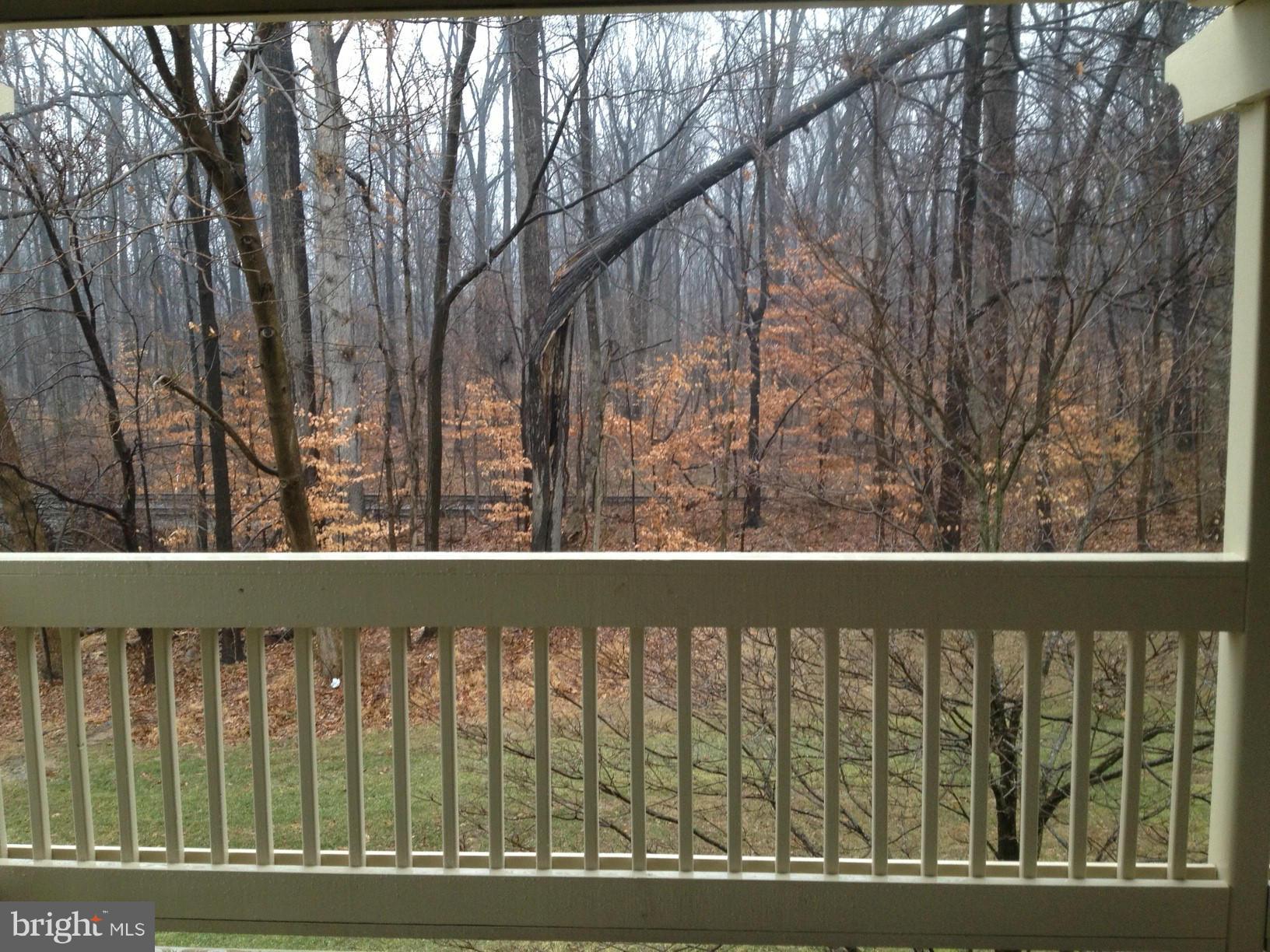 CARDINAL FOREST - Residential Lease