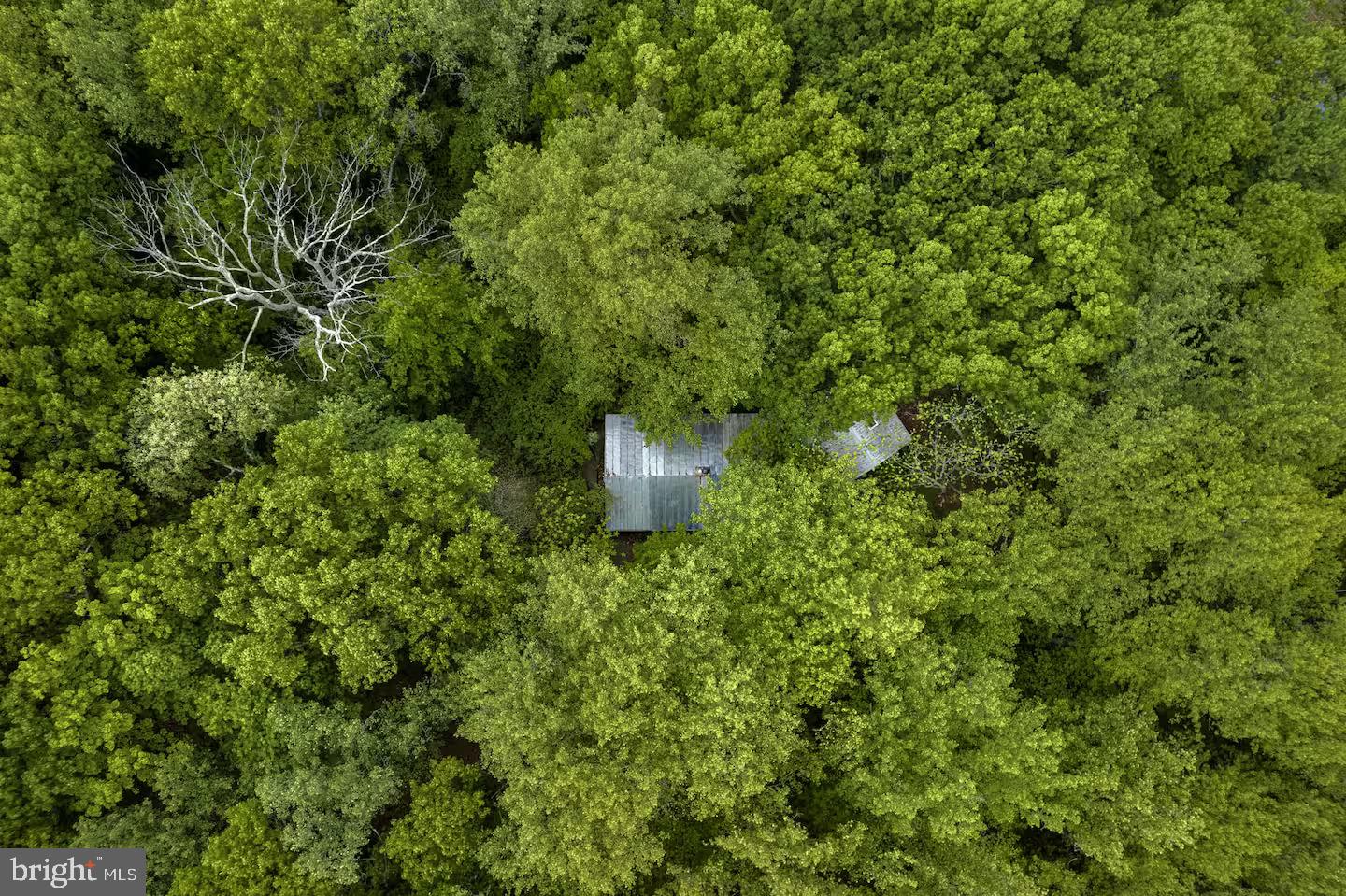 SHANNONDALE - Residential