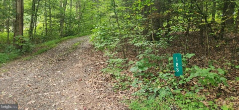 Vacant Land For Sale - LOT 1 Juniata Furnace Lane<br/> Perry County, NEWPORT, PA 17074