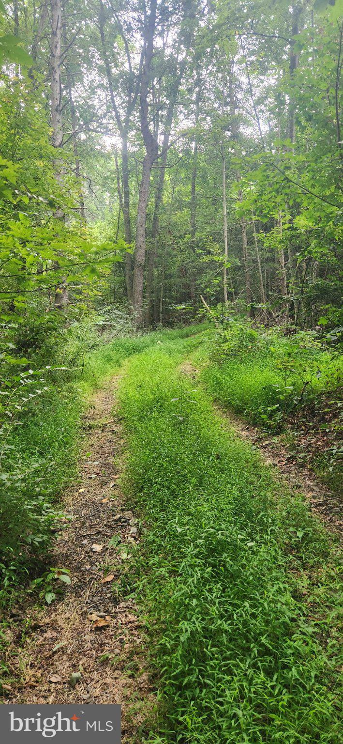 Lot 1 JUNIATA FURNACE LANE