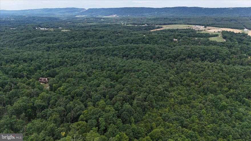 This private and secure 19 ACRE lot is waiting to be your future home site or recreational haven.   Boasting endless wildlife, you'll encounter turkeys, deer and several types of birds.  There are multiple maintained trails, and a seasonal stream at the back of the property.  Passed perc with an approved septic plan on file.  Enrolled in Clean and Green.