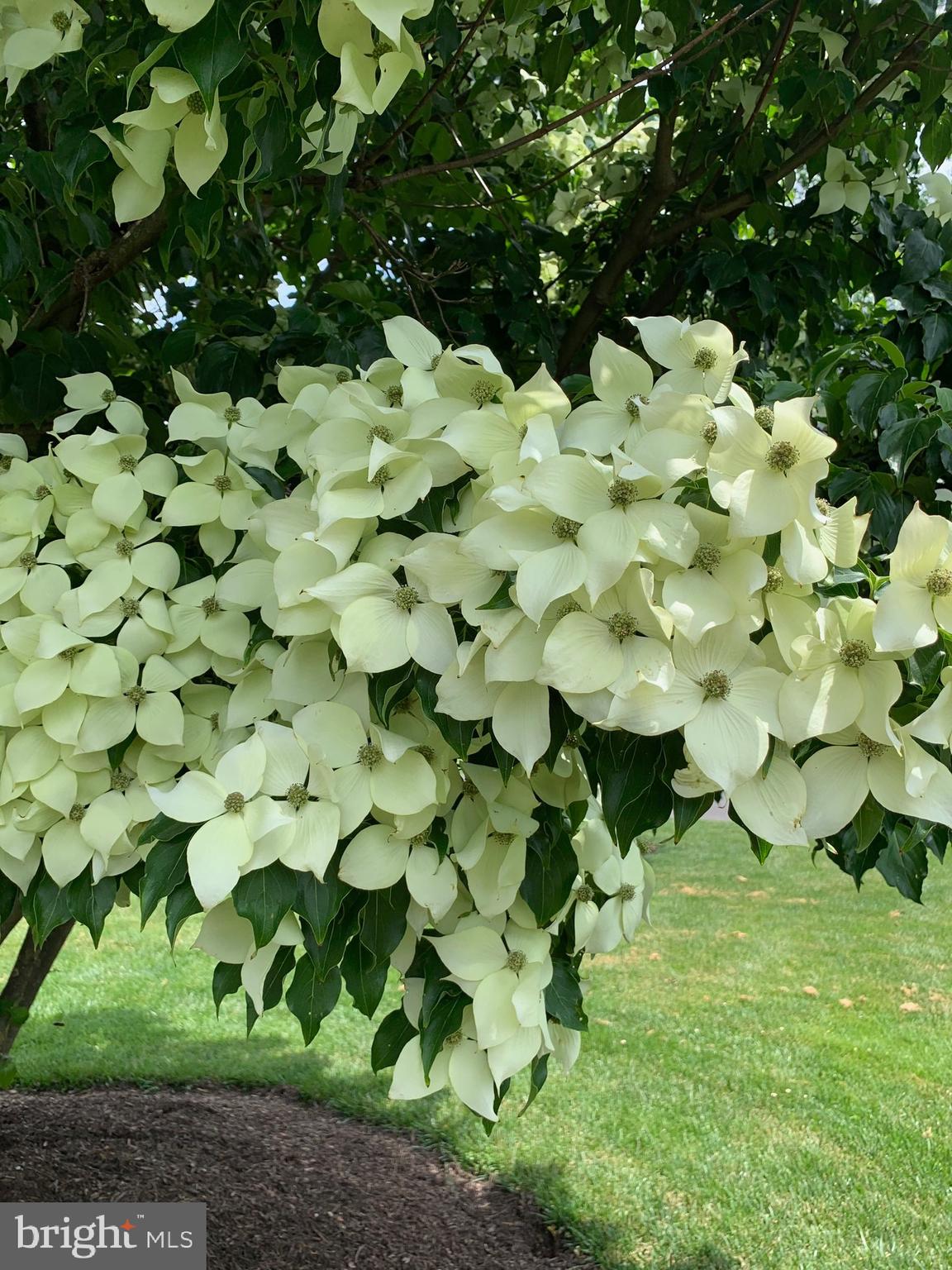 SALEM POINT - Residential