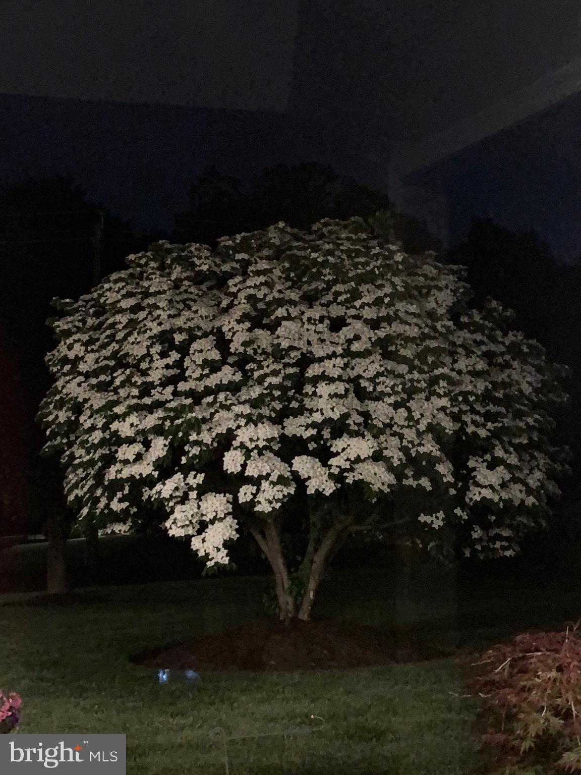 SALEM POINT - Residential