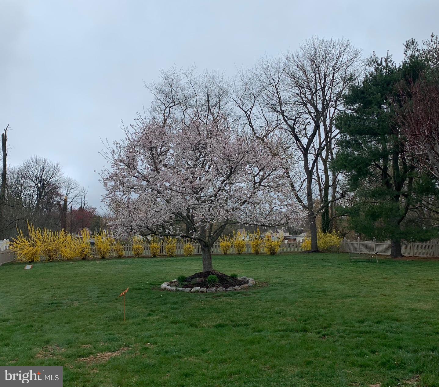 SALEM POINT - Residential